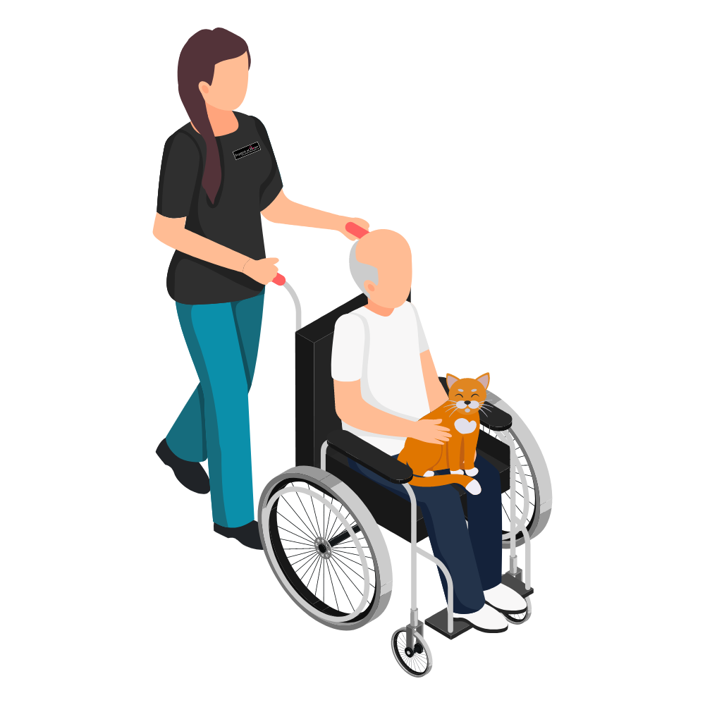 Client in wheelchair with a support worker